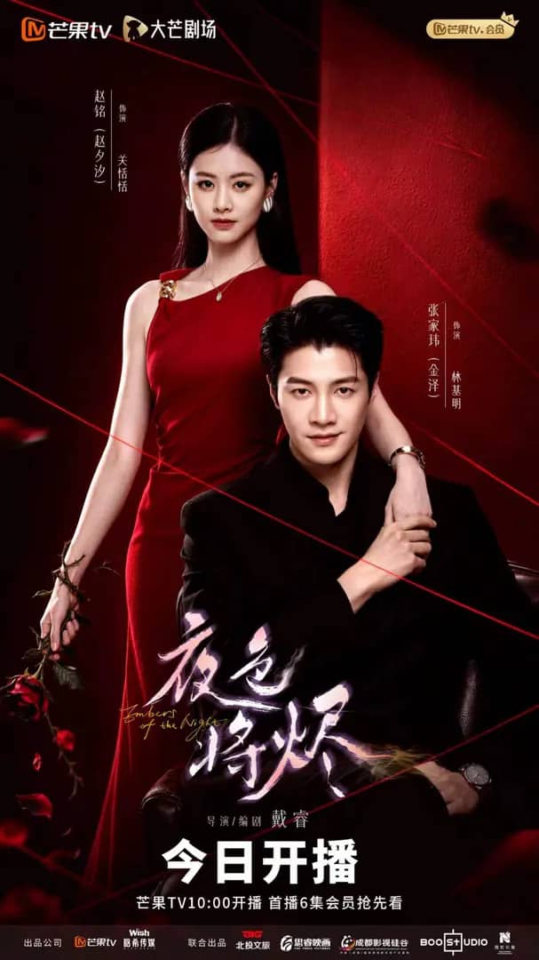 Постер сериала «Embers of the Night»