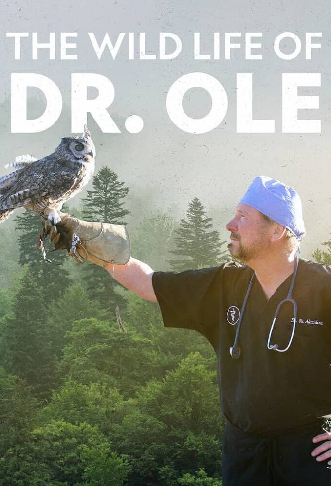 Постер сериала «The Wild Life of Dr. Ole»