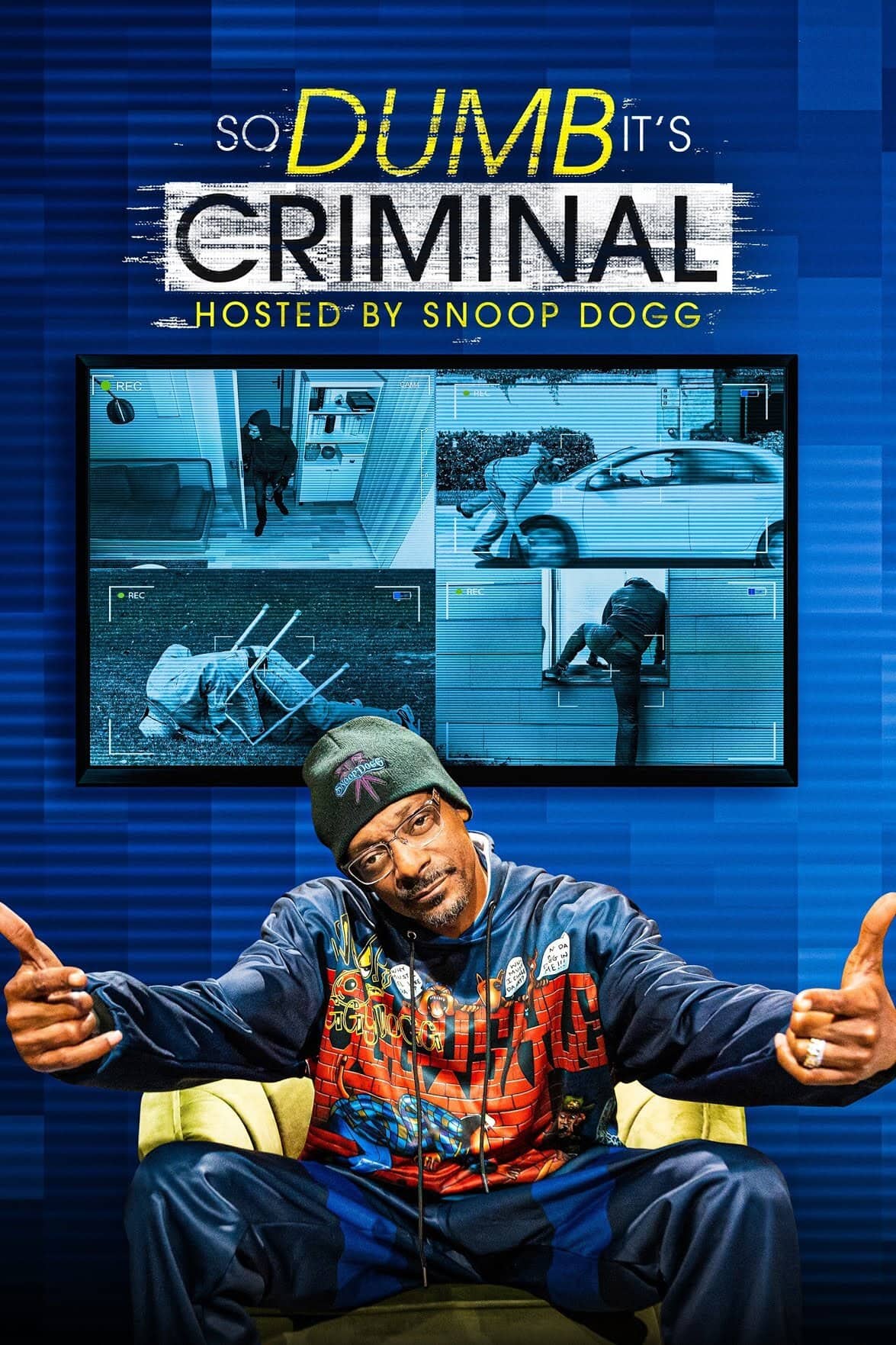Постер сериала «So Dumb It's Criminal»