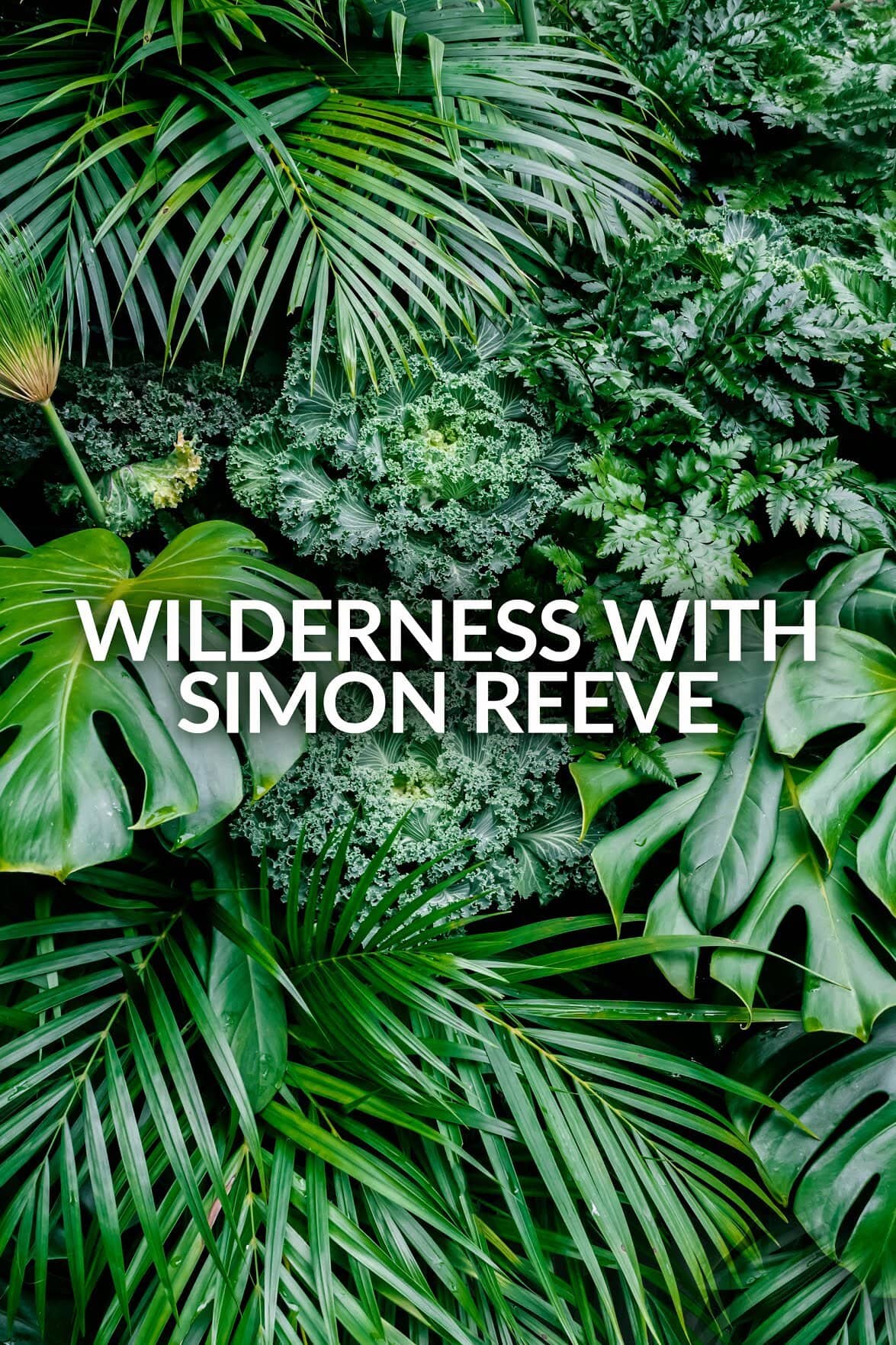 Постер сериала «Wilderness with Simon Reeve»