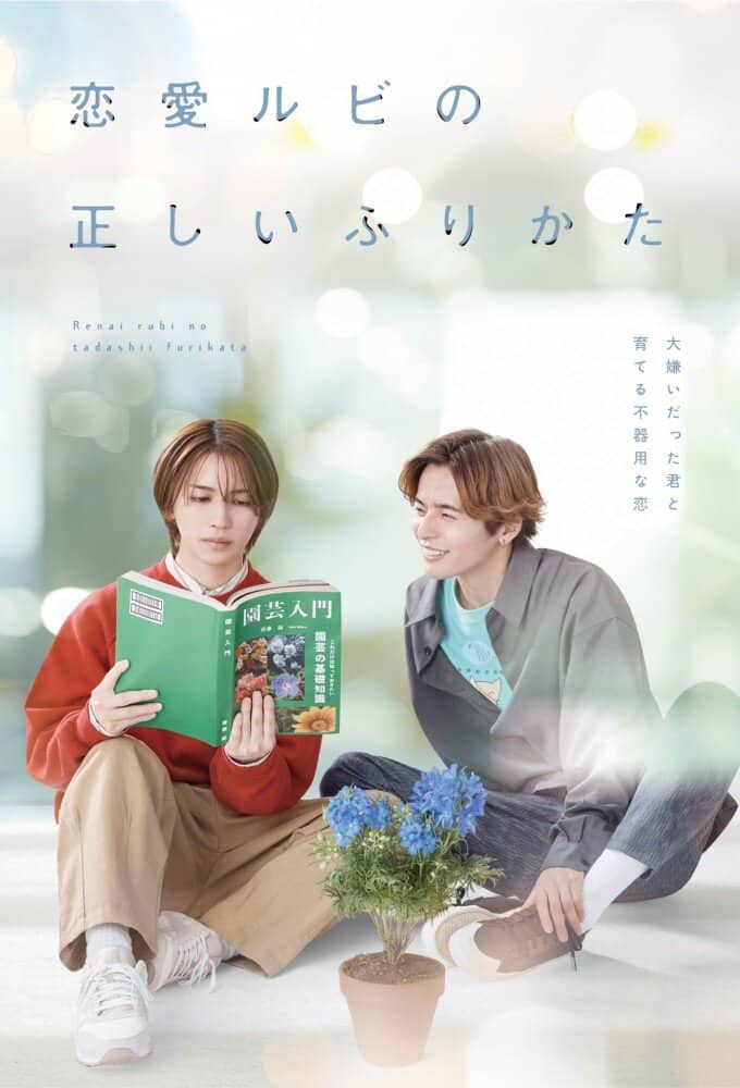 Постер сериала «The Proper Way to Write Love»