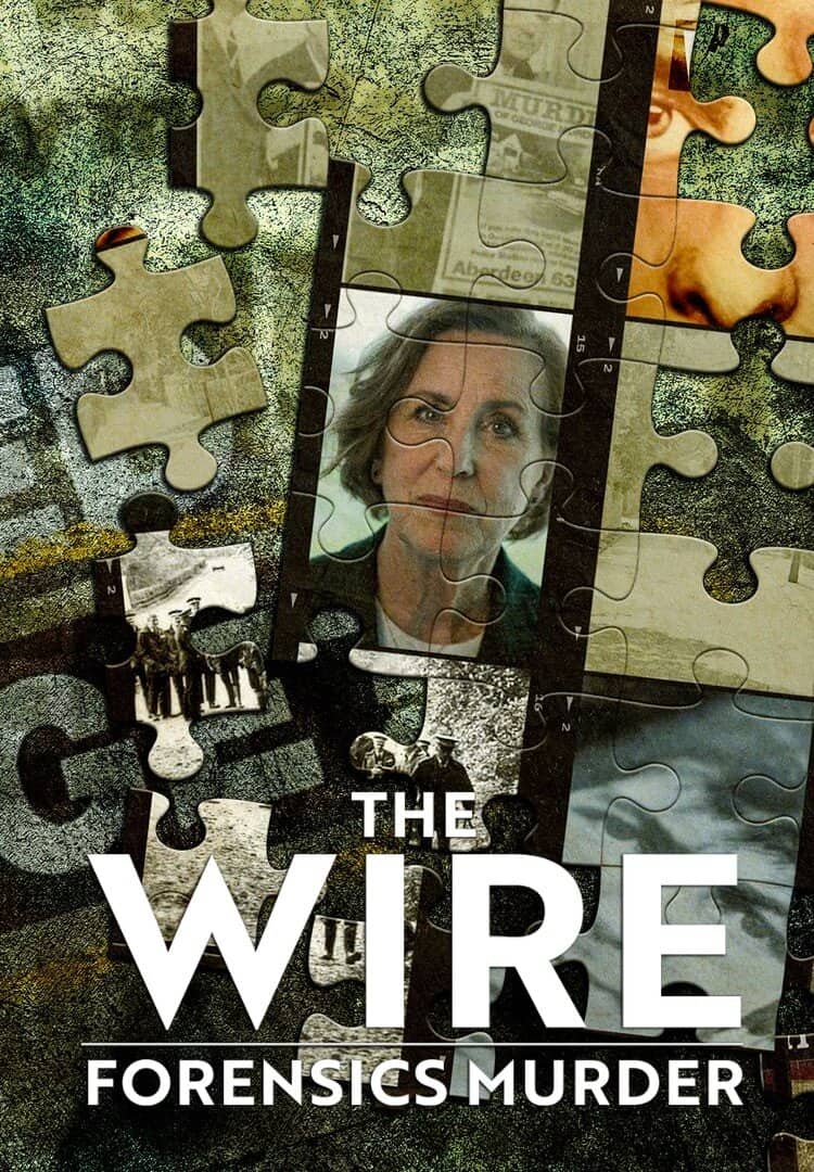 Постер сериала «The Wire: Forensics Murder»