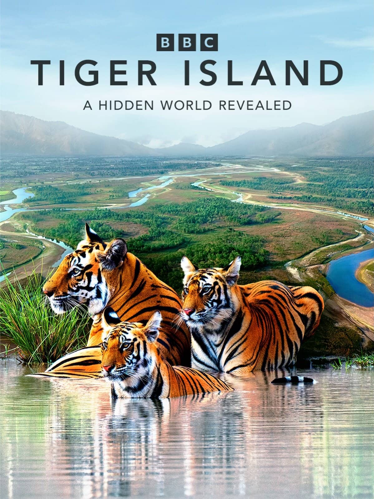 Постер сериала «Tiger Island»