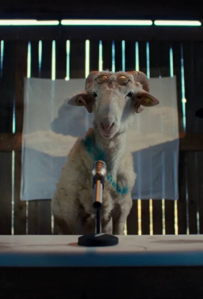 Постер сериала «Sheep»