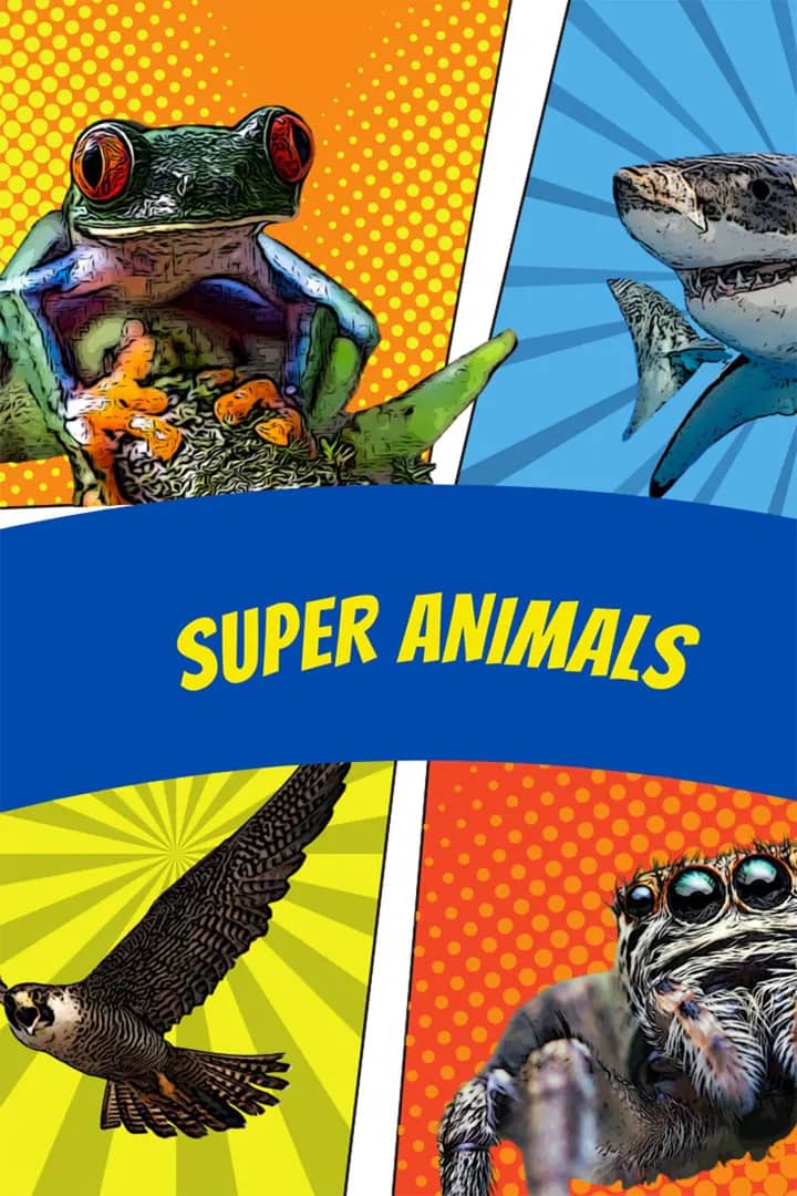 Постер сериала «Super Animals»