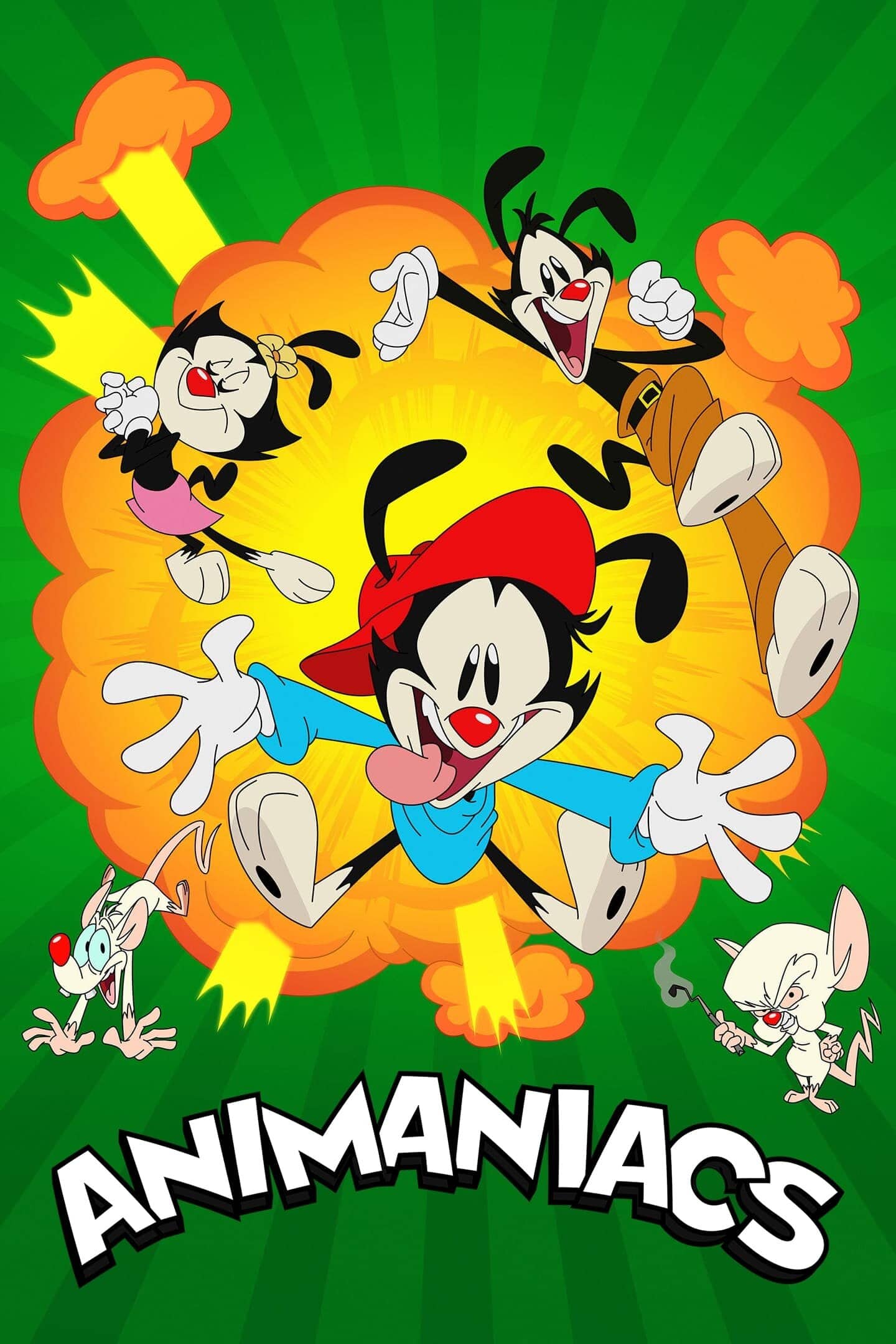 Постер сериала «Animaniacs»