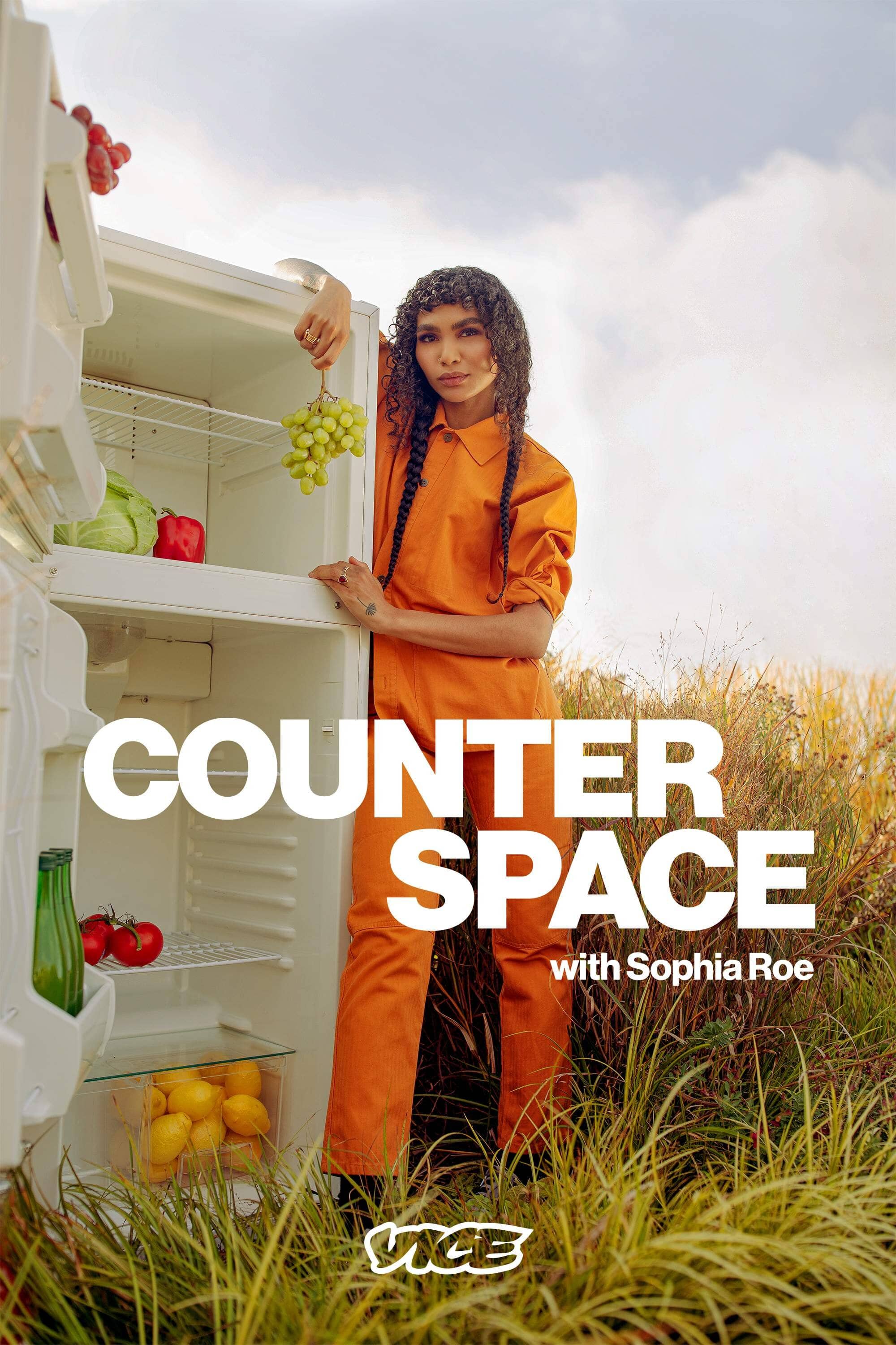 Постер сериала «Counter Space»