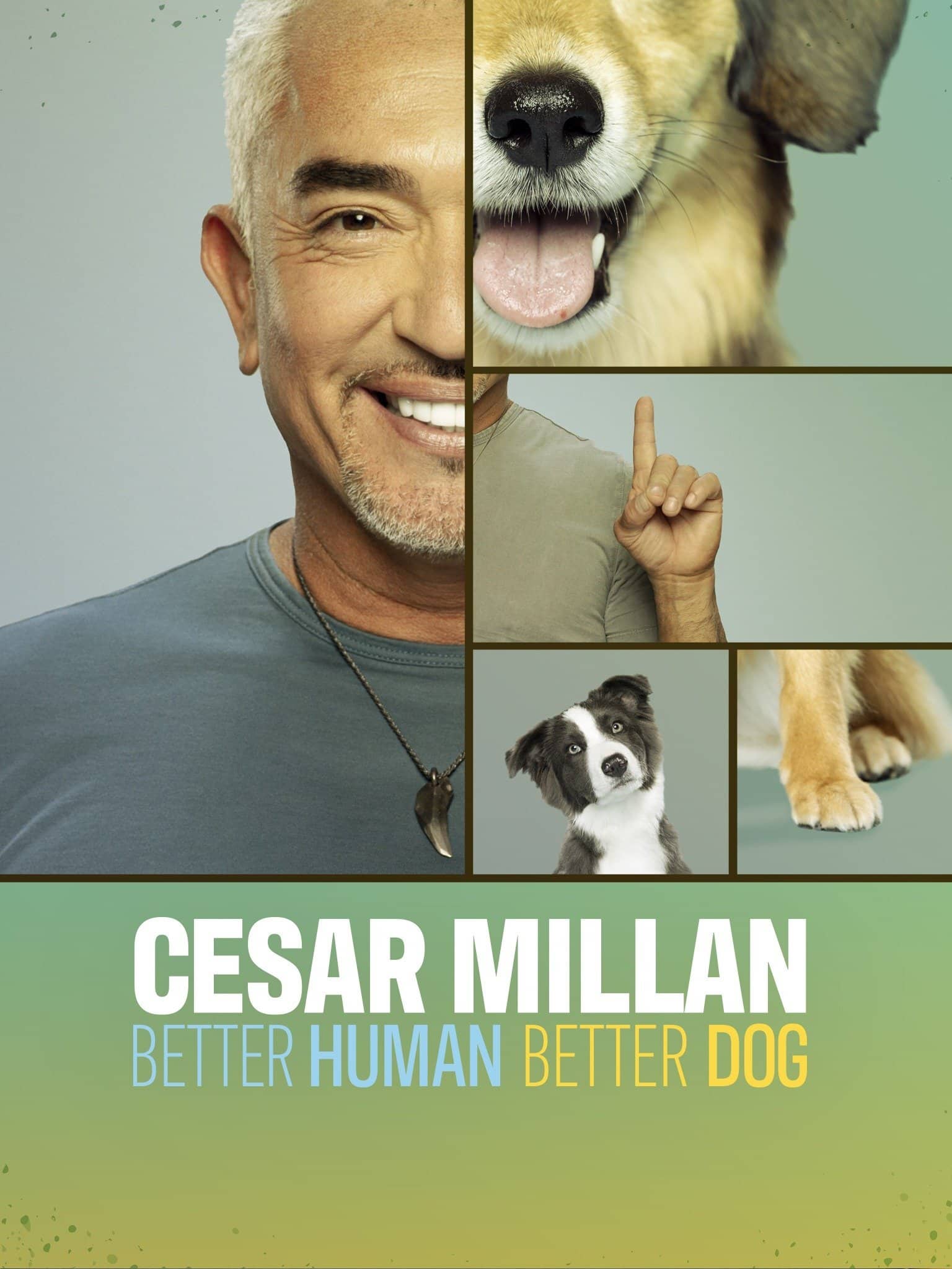 Постер сериала «Cesar Millan: Better Human Better Dog»