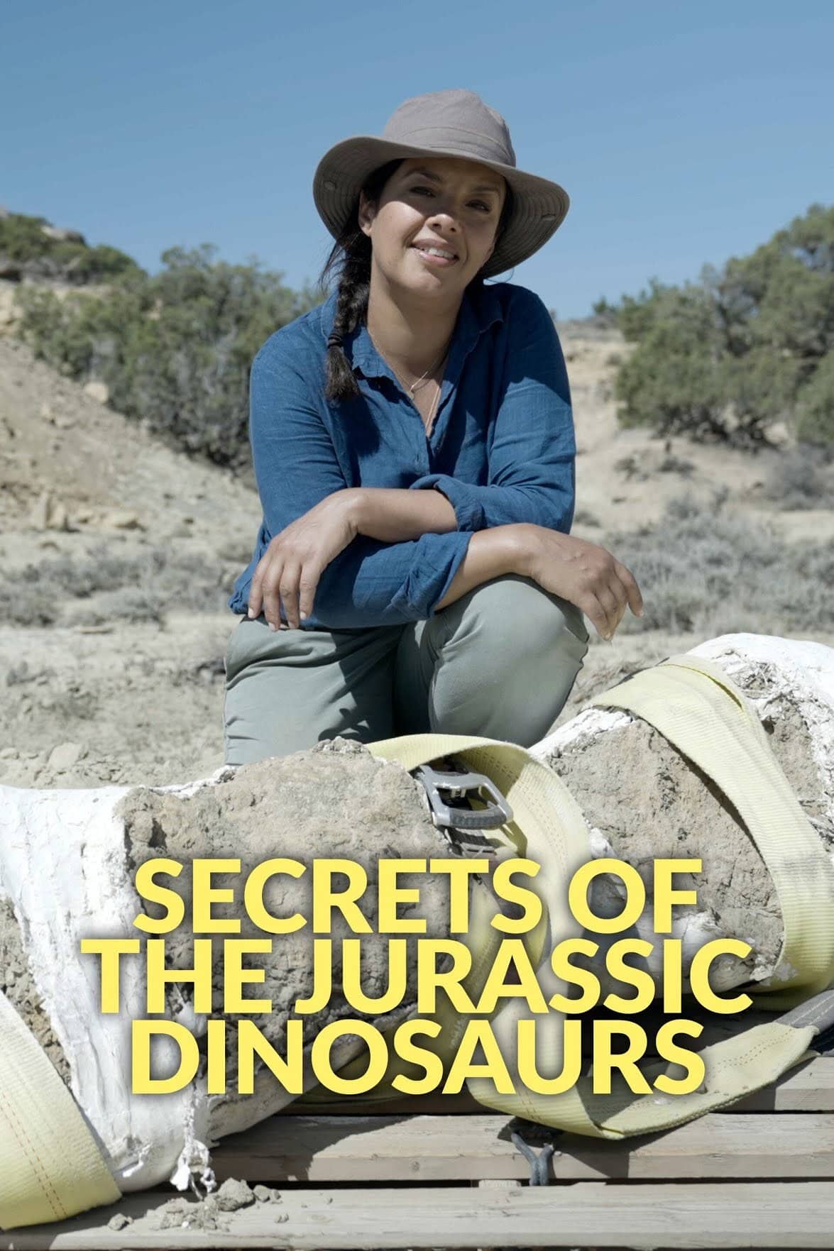 Постер сериала «Secrets of the Jurassic Dinosaurs»