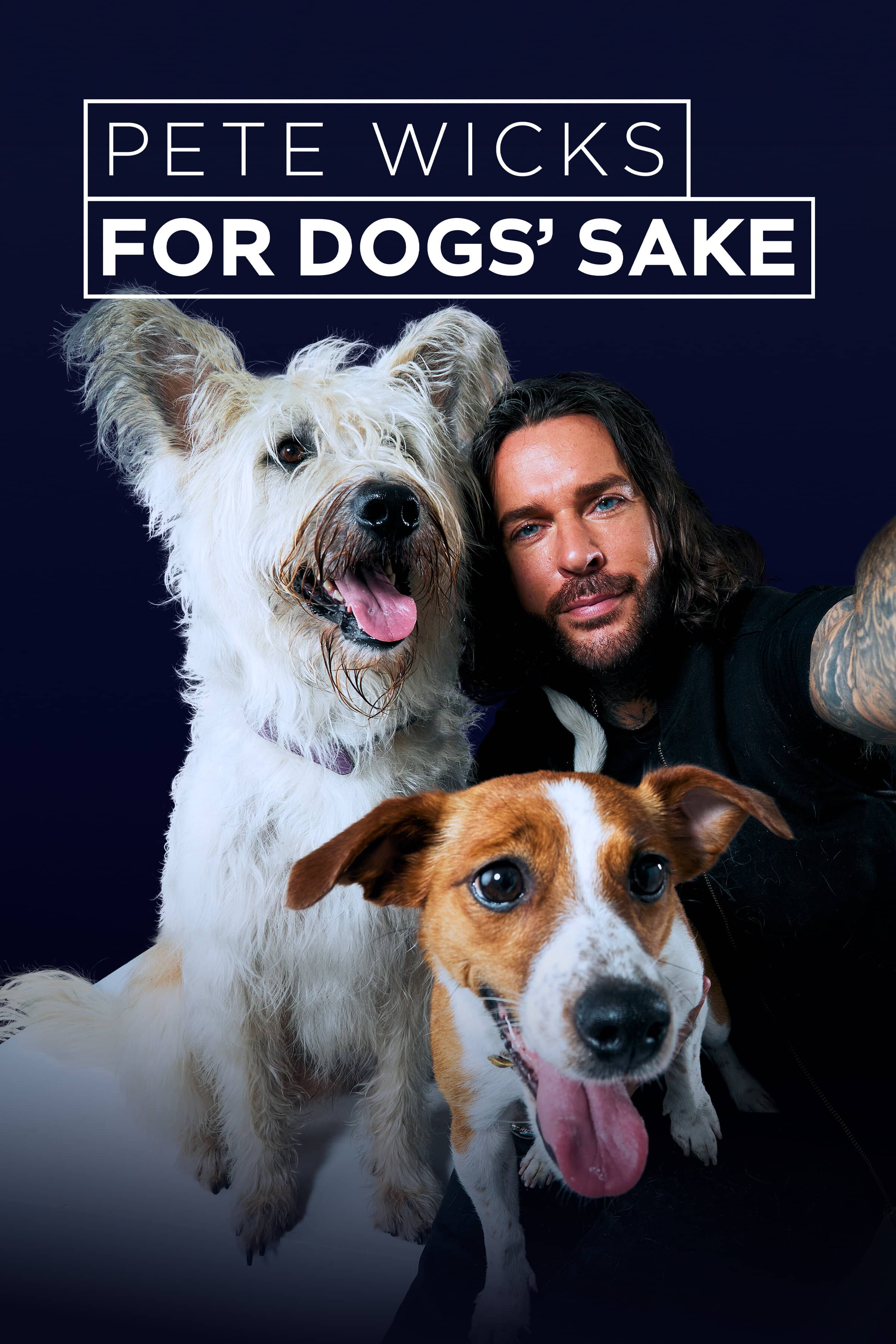 Постер сериала «Pete Wicks: For Dogs' Sake»