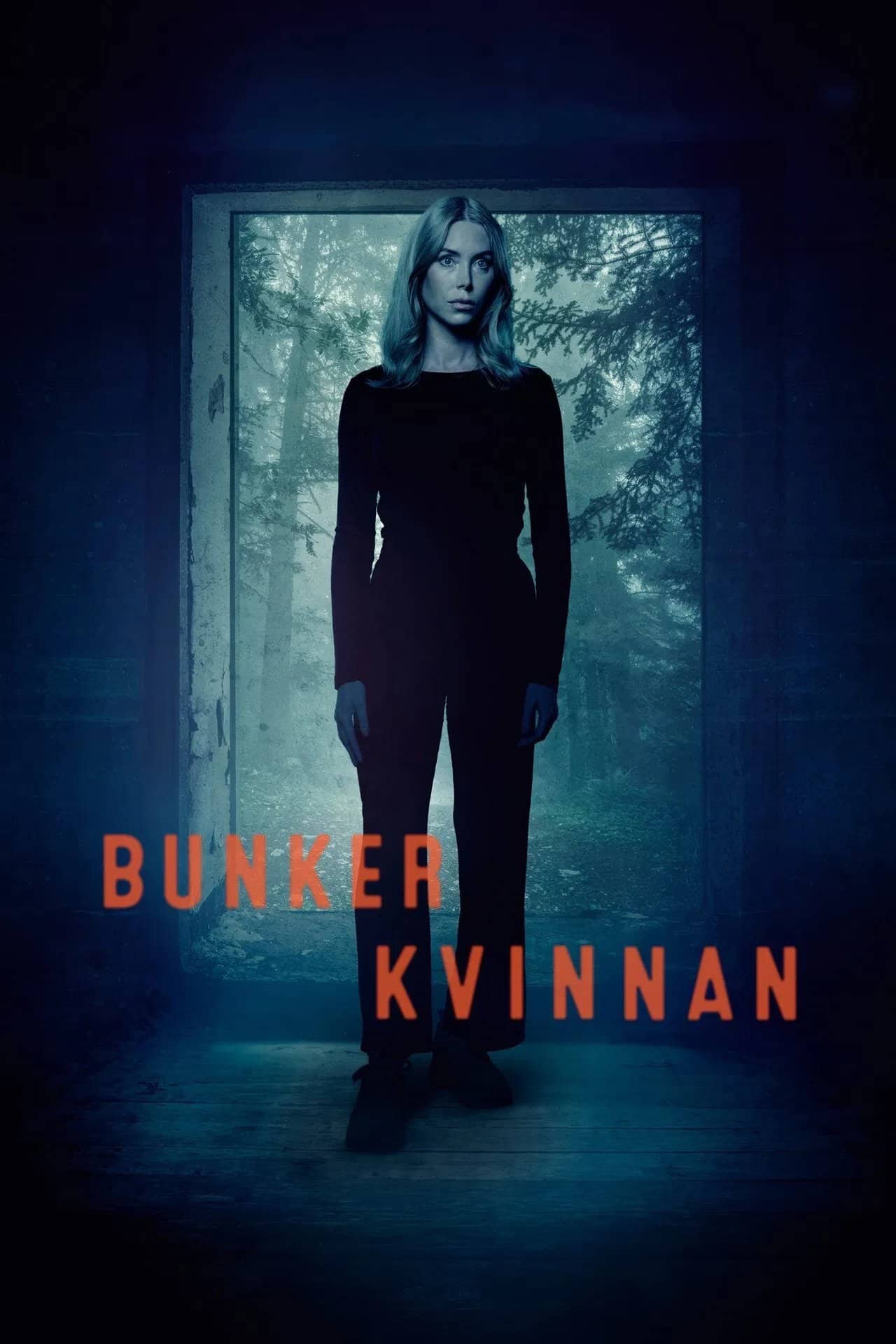 Постер сериала «Bunkerkvinnan»