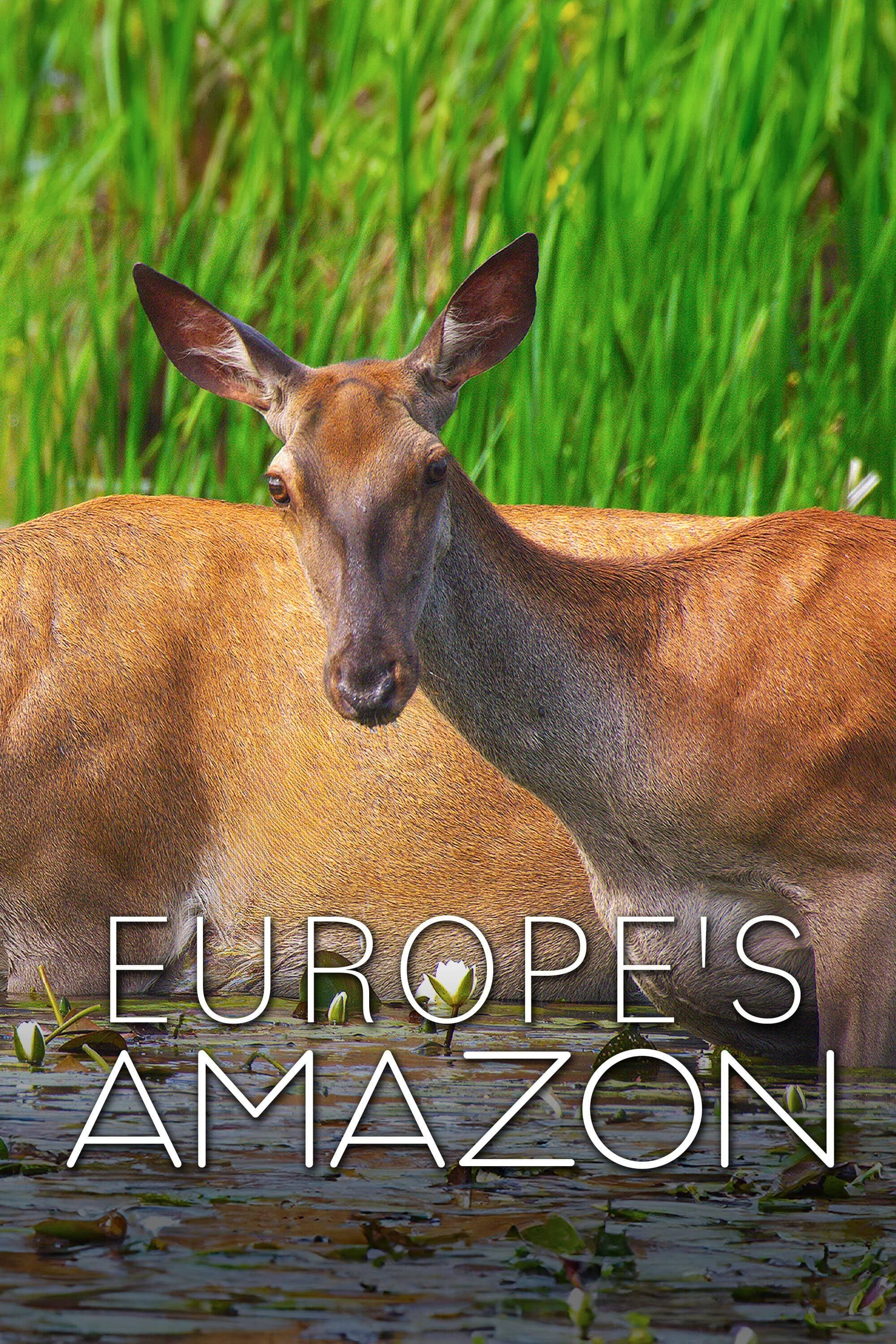 Постер сериала «Europe's Amazon»