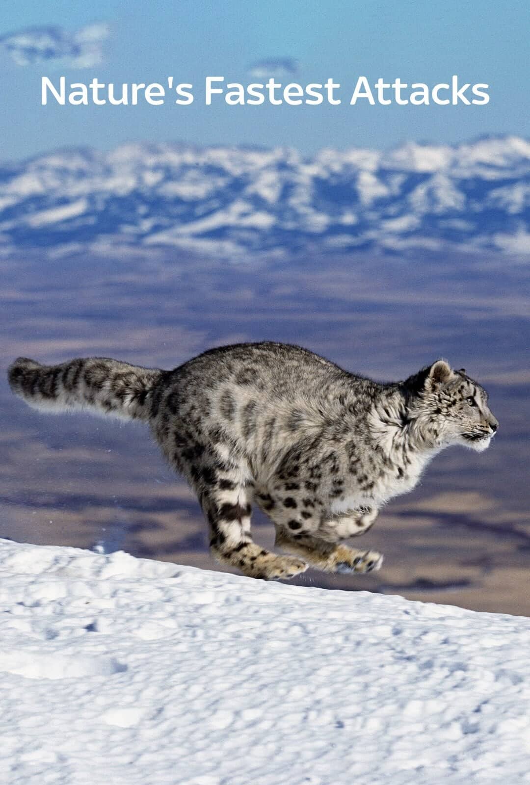 Постер сериала «Nature's Fast Attacks»
