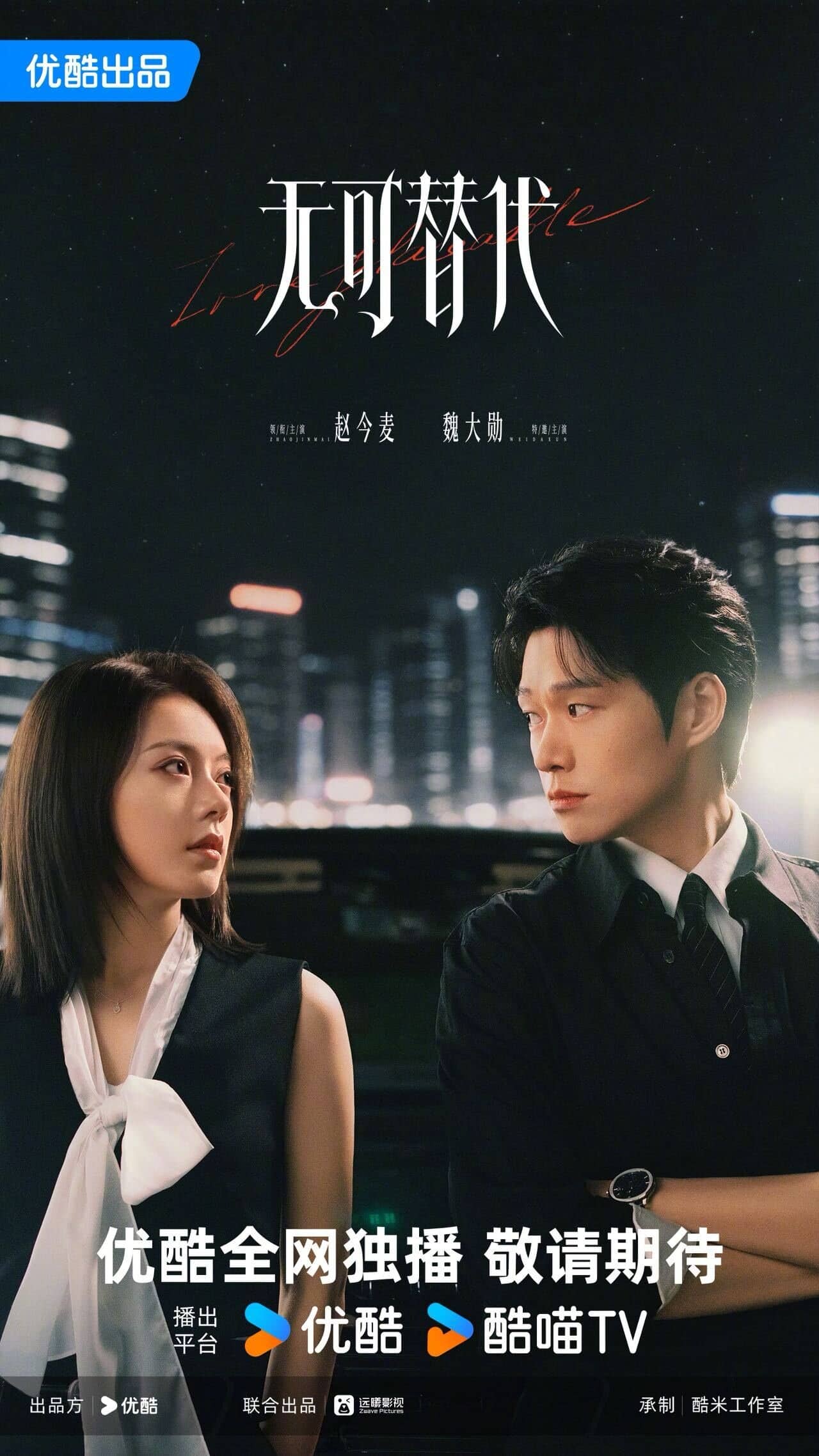 Постер сериала «Irreplaceable»