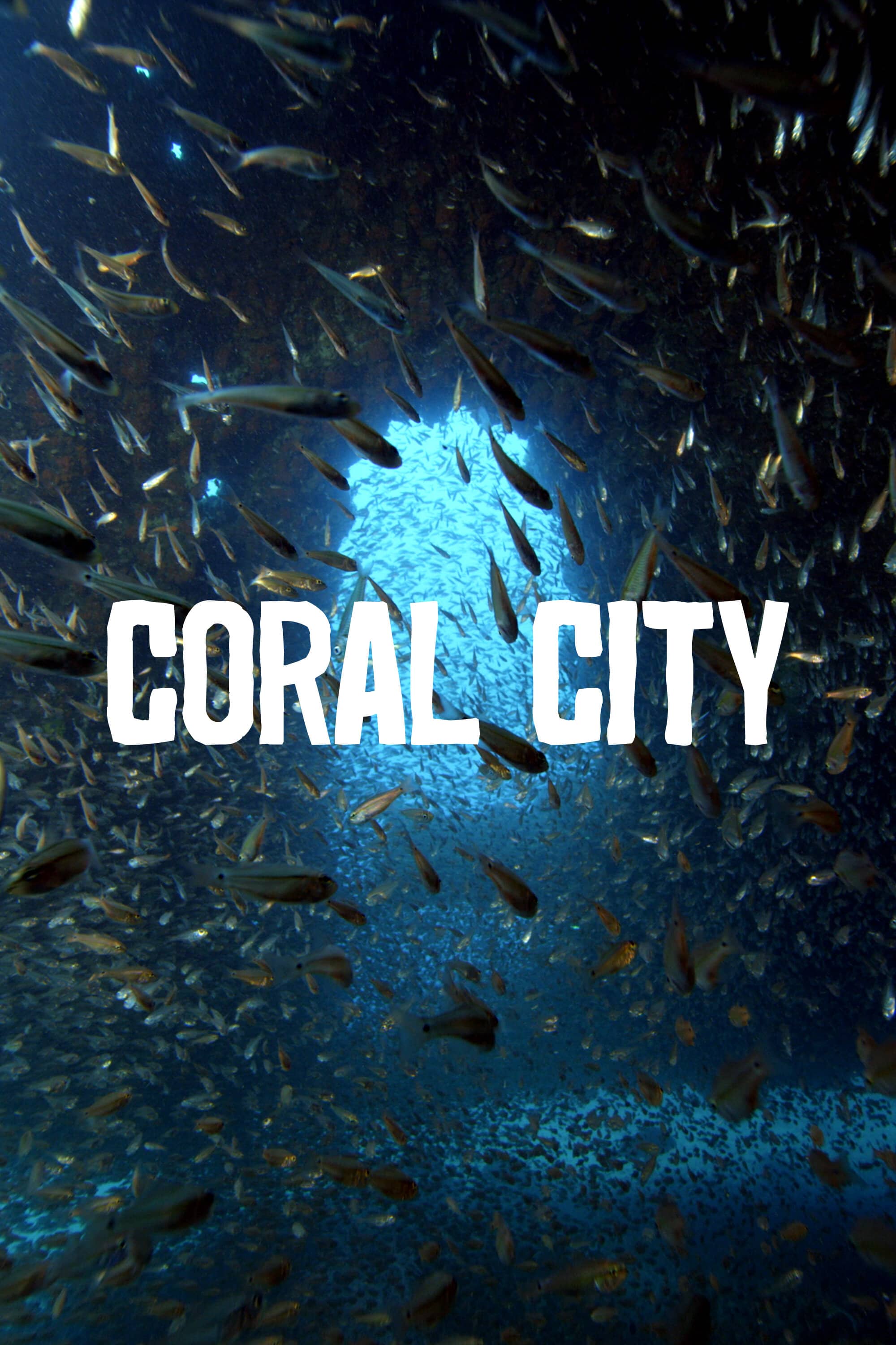 Постер сериала «Coral City»