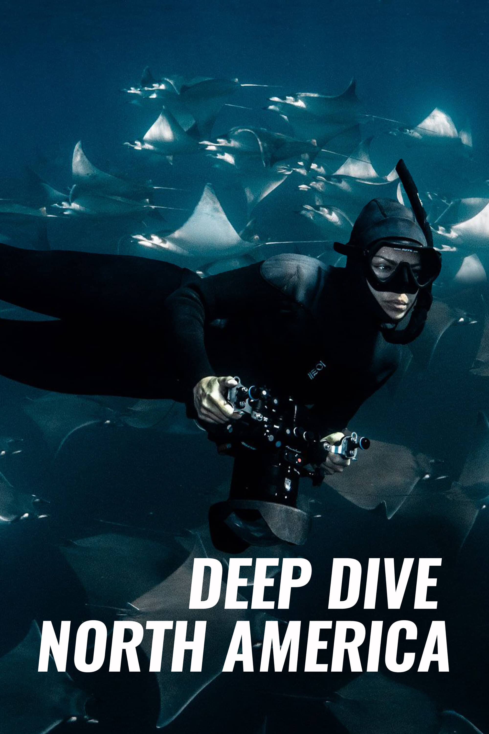 Постер сериала «Deep Dive North America»