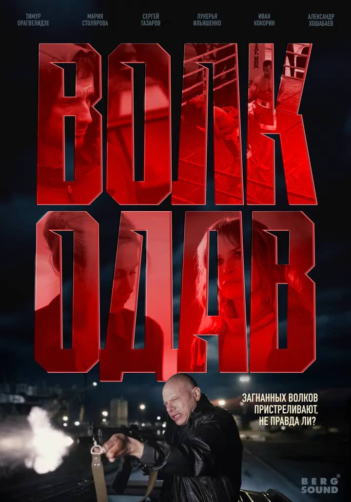Постер сериала «Волкодав»