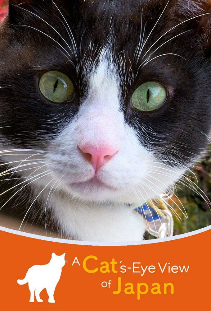 Постер сериала «A Cat's-Eye View of Japan»