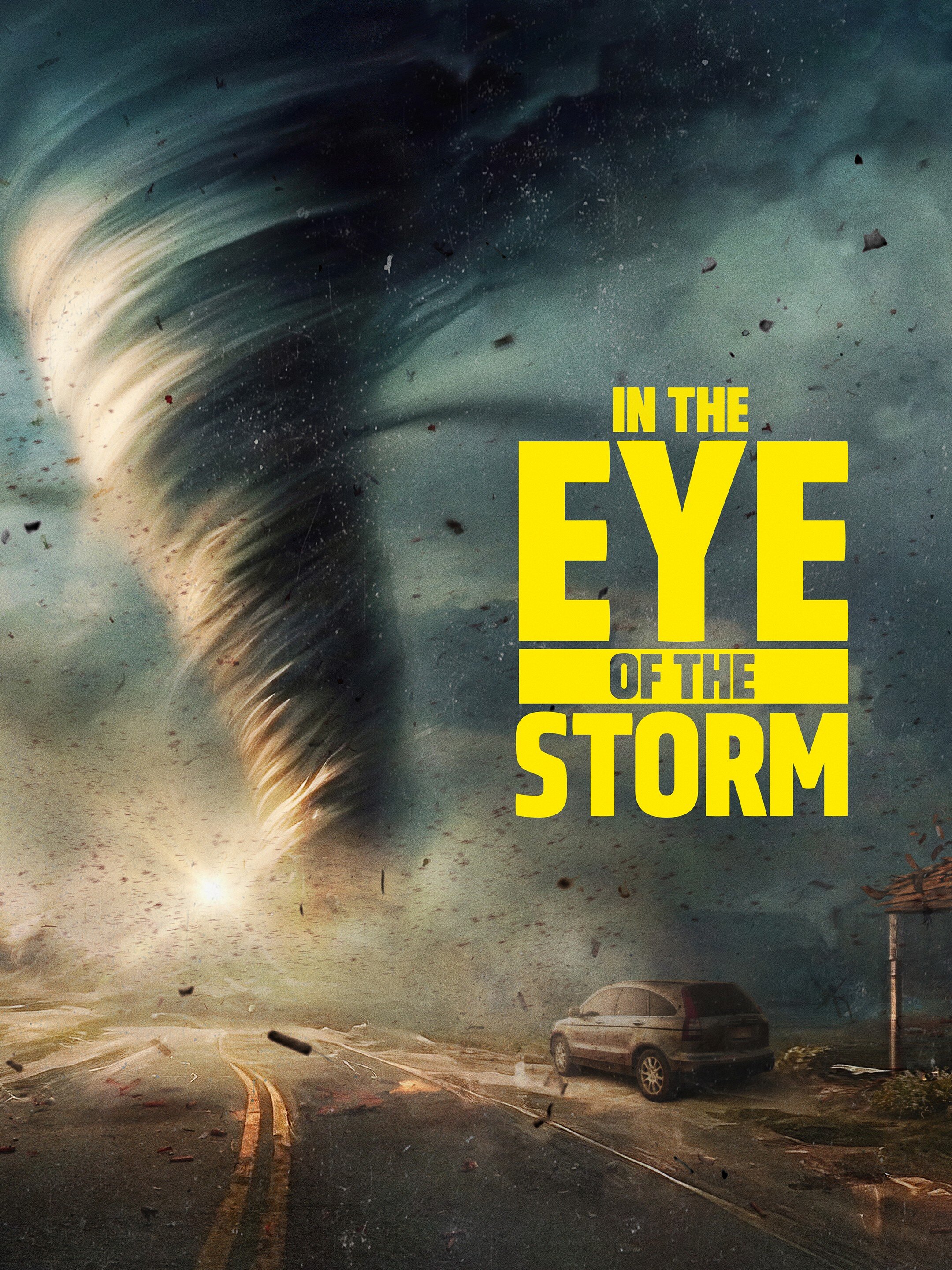 Постер сериала «In the Eye of the Storm»