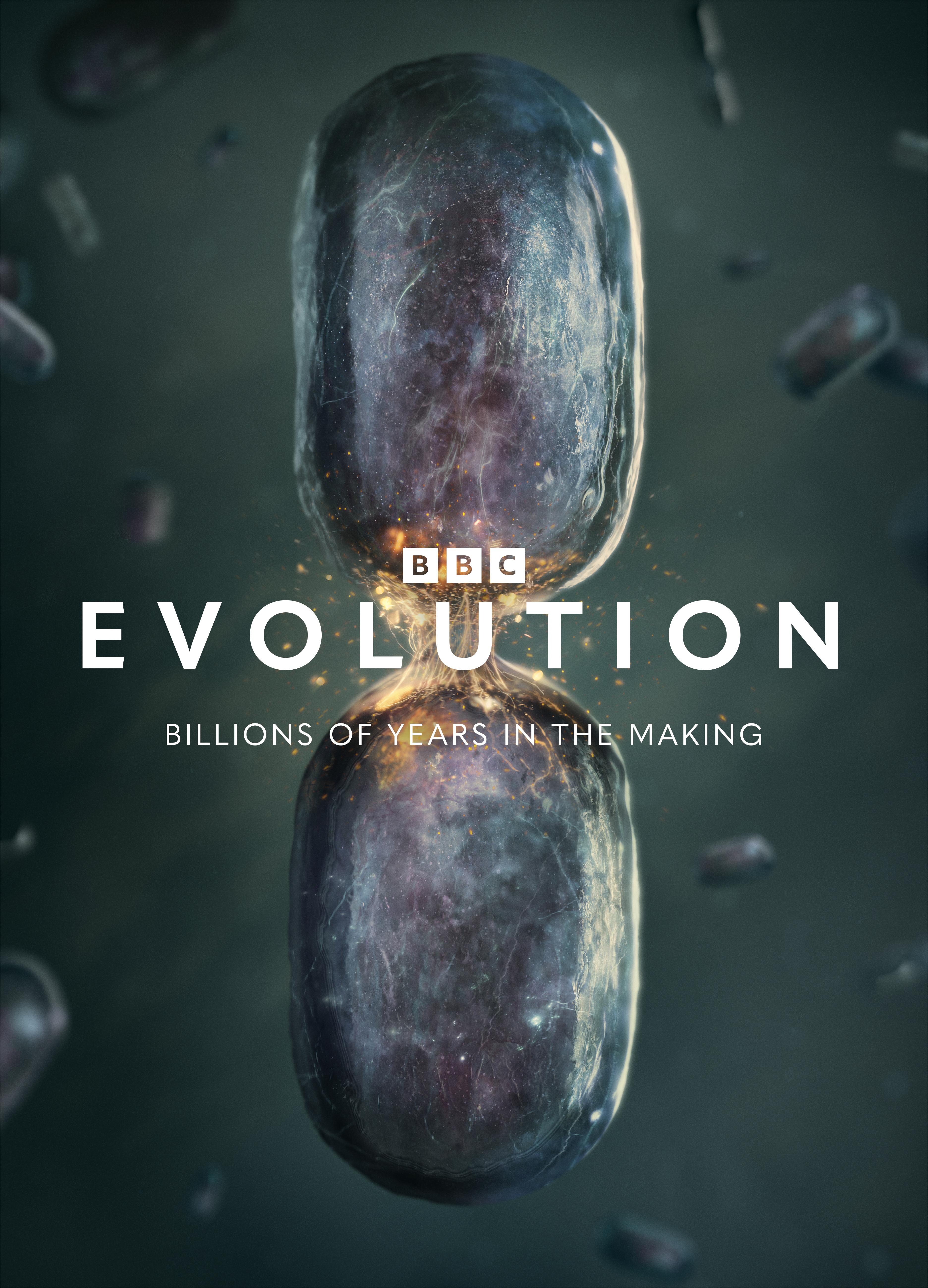 Постер сериала «Evolution»