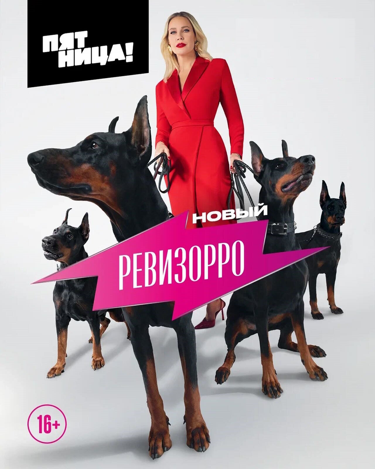 Постер сериала «Новый Ревизорро»