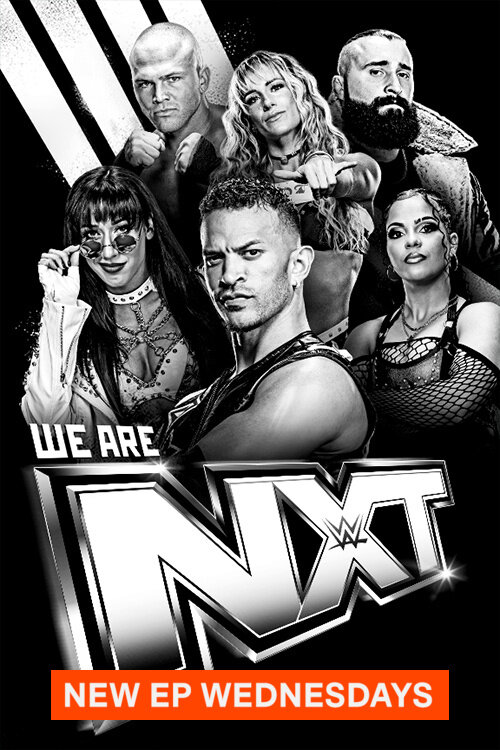 Постер сериала «WWE NXT»