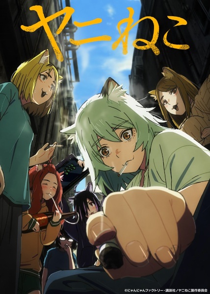 Постер сериала «Yani Neko»