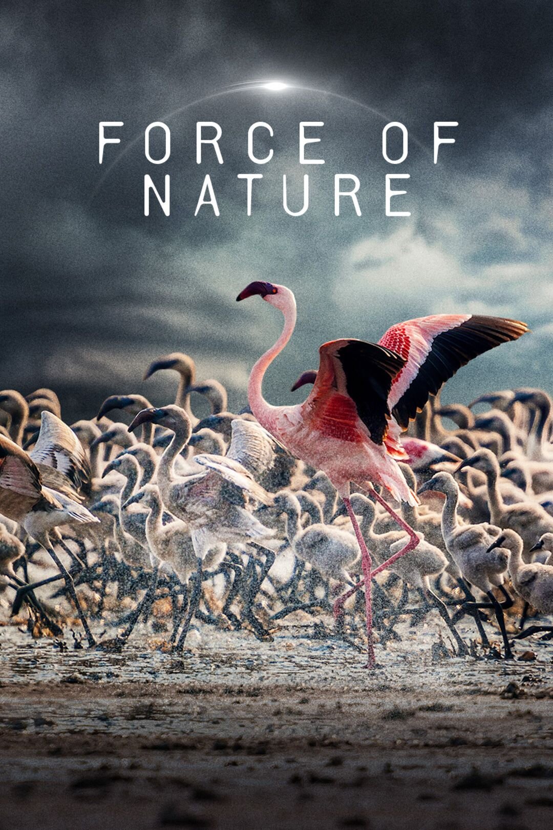 Постер сериала «Force of Nature»
